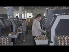 Dây chuyền sản xuất lò xo Beishun Brisk