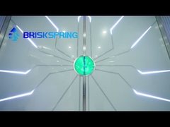 Chuyến tham quan phòng trưng bày Briskspring.