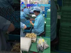 40 100 Microns Toàn bộ nhà Spin Down Sediment Dual Filtration Sediment Prefilter Có thể tái sử dụng