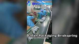 Dây chuyền đóng gói có tổ chức và sạch sẽ của BRISKSPRING