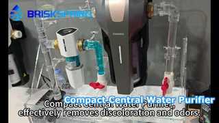 Máy lọc nước trung tâm nhỏ gọn loại bỏ hiệu quả sự đổi màu và mùi hôi.