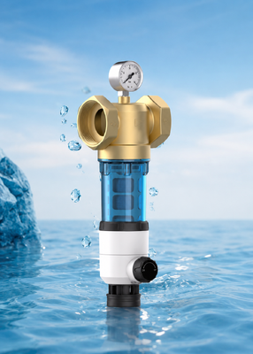 Bộ lọc nước thô toàn nhà BriskSpring T1-Z2-BS hai mặt có lưới lọc 40 micron và đồng hồ đo áp suất