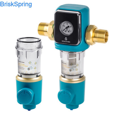 Hệ thống lọc nước toàn bộ nhà với xếp hạng lọc 40-300µm, lưu lượng 22 GPM và lưới thép không gỉ SUS 316