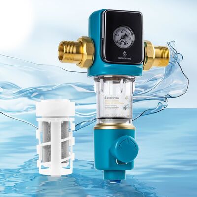 Bộ lọc nước tiền xử lý toàn bộ nhà tự động xả ngược bằng siphon BriskSpring SQ550B-BS 5 T/H với vật liệu MSAP+CASO3+KDF55