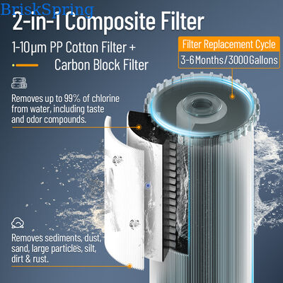 BriskSpring N1-2C-BS Compact Central Water Purifier with 3 T/H Flow Rate and Quick-Release Cartridge for 50,000 L Capacity